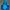 K2 Gorpcore Track Jacket Wanita Blue