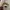 Kangol Luxury Hoody Pria white photo 2