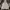 Kangol Luxury Hoody Pria White