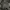 Guess Luxury Sweatshirt Pria gray photo 1