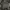 Guess Luxury Sweatshirt Pria Gray