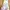 Luxury Minimalist Kids White