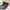 Casual Sneakers Pria gray photo 3