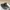 Casual Sneakers Pria gray photo 1