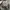 Bershka Vintage Streetwear Pria white black photo 3