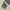 Japanese brand Streetwear Y2K Wide leg jeans Wanita gray photo 6