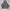 Champion Vintage Y2K Hoody Pria black photo 1