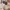 Champion Casual Hoody Pria multicolor photo 6
