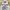 Russell Athletic Vintage Y2K Hoody Pria gray photo 3