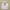 Russell Athletic Vintage Y2K Hoody Pria gray photo 1