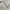 Russell Athletic Vintage Y2K Hoody Pria gray photo 3