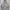 Russell Athletic Vintage Y2K Hoody Pria gray photo 1