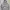 Russell Athletic Vintage Y2K Hoody Pria Gray