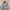 Russell Athletic Vintage Y2K Hoody Pria gray photo 2