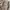 Japanese brand Streetwear Casual pants Pria cream photo 4