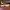 New Balance Casual Sneakers Pria multicolor yellow photo 3