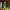 New Balance Casual Sneakers Pria multicolor yellow photo 4