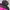 The North Face Streetwear Sportswear Parka Pria pink black photo 4