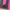 The North Face Streetwear Sportswear Parka Pria pink black photo 5