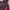 The North Face Streetwear Sportswear Parka Pria pink black photo 2