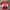 Canterbury Sportswear Jersey Pria red photo 1