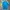 Adidas Sportswear T-shirt Pria multicolor photo 1