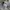 Maison Kitsuné Casual Sweatshirt Pria gray photo 5