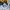 Adidas Streetwear T-shirt Pria multicolor photo 3