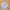 Nike Streetwear Skater Hoody Pria gray photo 1