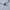 Nike Streetwear Skater Hoody Pria gray photo 3