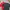 Uniqlo Sportswear Jersey Pria multicolor photo 1