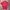 Uniqlo Sportswear Jersey Pria multicolor photo 3