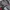 Nike Streetwear Casual T-shirt Pria gray photo 5