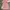 Luxury Muslim Evening dress Wanita pink photo 1