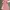 Luxury Muslim Evening Dress Wanita Pink