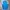 Nike Sportswear Jersey Pria Blue