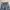 Japanese brand Vintage Y2K Jeans Pria navy photo 3