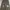 Japanese brand Y2K Jeans Pria green brown photo 2