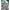 Prada Streetwear Casual Puffer jacket Wanita white black photo 2
