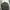 Japanese brand Streetwear Sportswear Puffer jacket Wanita green photo 3