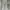 Grunge Goth Jeans Pria Gray
