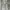 Grunge Goth Jeans Pria gray photo 3