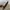 Louis Vuitton Luxury Minimalist Bags & purse Wanita brown photo 2