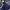Luxury Fairy Evening dress Wanita navy photo 1