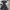 Skater Casual Evening dress Wanita multicolor photo 4