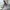 Skater Casual Evening dress Wanita multicolor photo 2