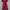 Minimalist Casual Casual dress Wanita red photo 5