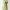 Casual Maxi dress Wanita yellow photo 2