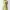Casual Maxi Dress Wanita Yellow