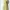Casual Maxi dress Wanita yellow photo 1